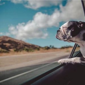 程序员cxuan的头像