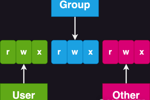 你或他是否可读写执行的 chmod