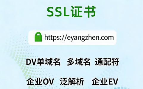 域名SSL 证书 纯证书 + 安装技术服务 安全加密