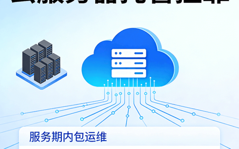 云服务器托管挂靠  全包运维全年稳定  自动备份  防火墙