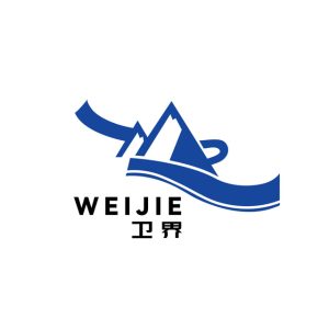 卫界安全-阿呆攻防的头像